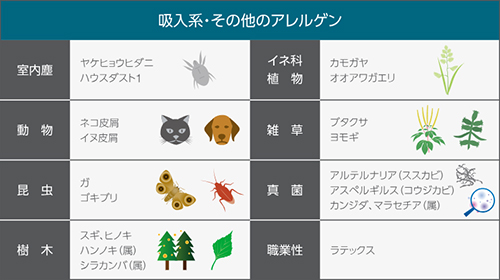 吸入系・その他のアレルゲン