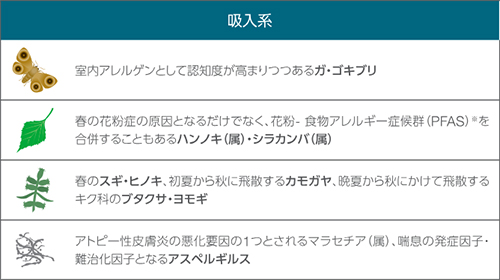吸入系