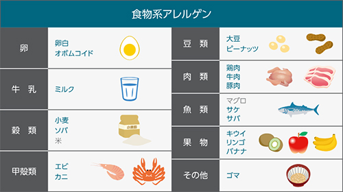 食物系・アレルゲン